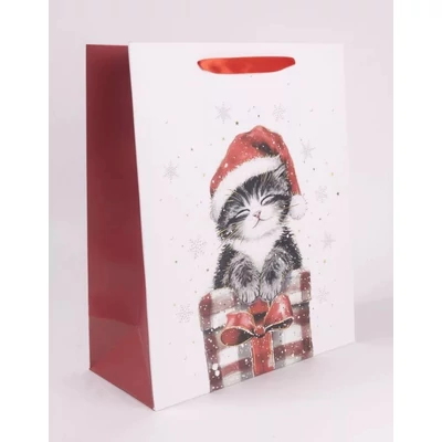 QX-370911 Karácsonyi papírtasak Cica ajándékkal M 18*23cm