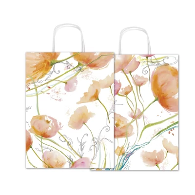 SAD-SDX26003C Ajándéktasak kraft 26*34*12cm Fantasia (2 oldalas)