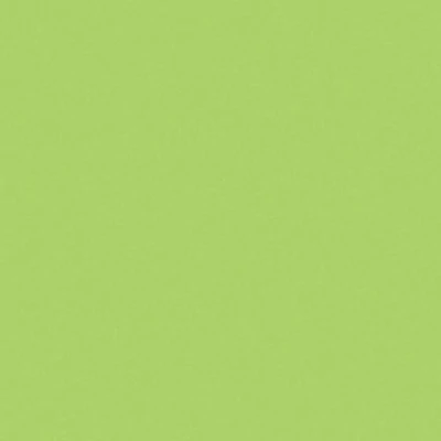 V-53298 Öntapadós matt fólia - Anis green 2m*45cm